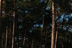 Only-the-strong-survive-08-februari-2025-C-Lars-Crommelinck-for-Golazo-10