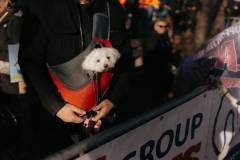 Only-the-strong-survive-08-februari-2025-C-Lars-Crommelinck-for-Golazo-24