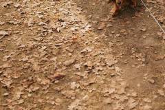 Only-the-strong-survive-08-februari-2025-C-Lars-Crommelinck-for-Golazo-28